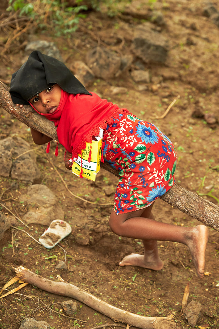 삶의 가지에 기대어