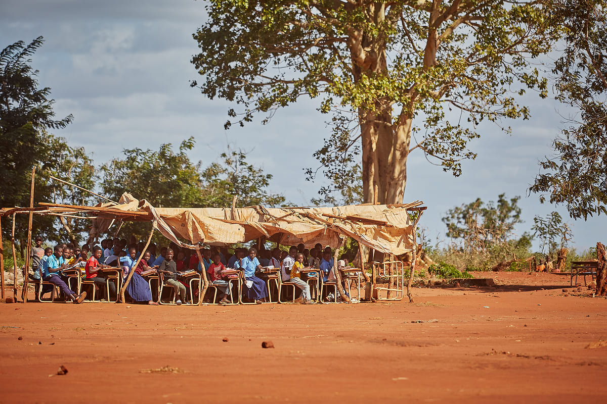 흔들리지 않는 미래 1