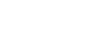 Flight for Better Tomorrow 로고