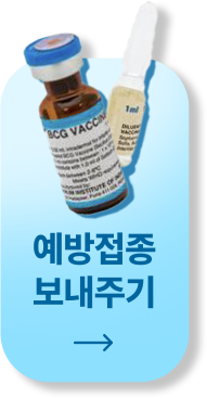 예방접종 보내주기